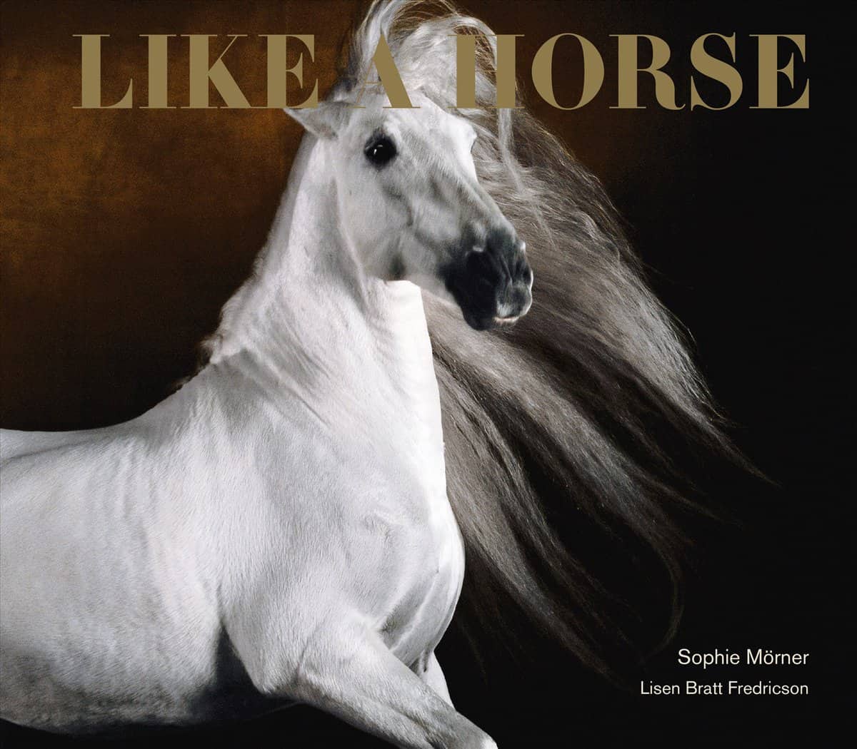 Mörner, Sophie | Bratt Fredricson, Lisen | Like a horse