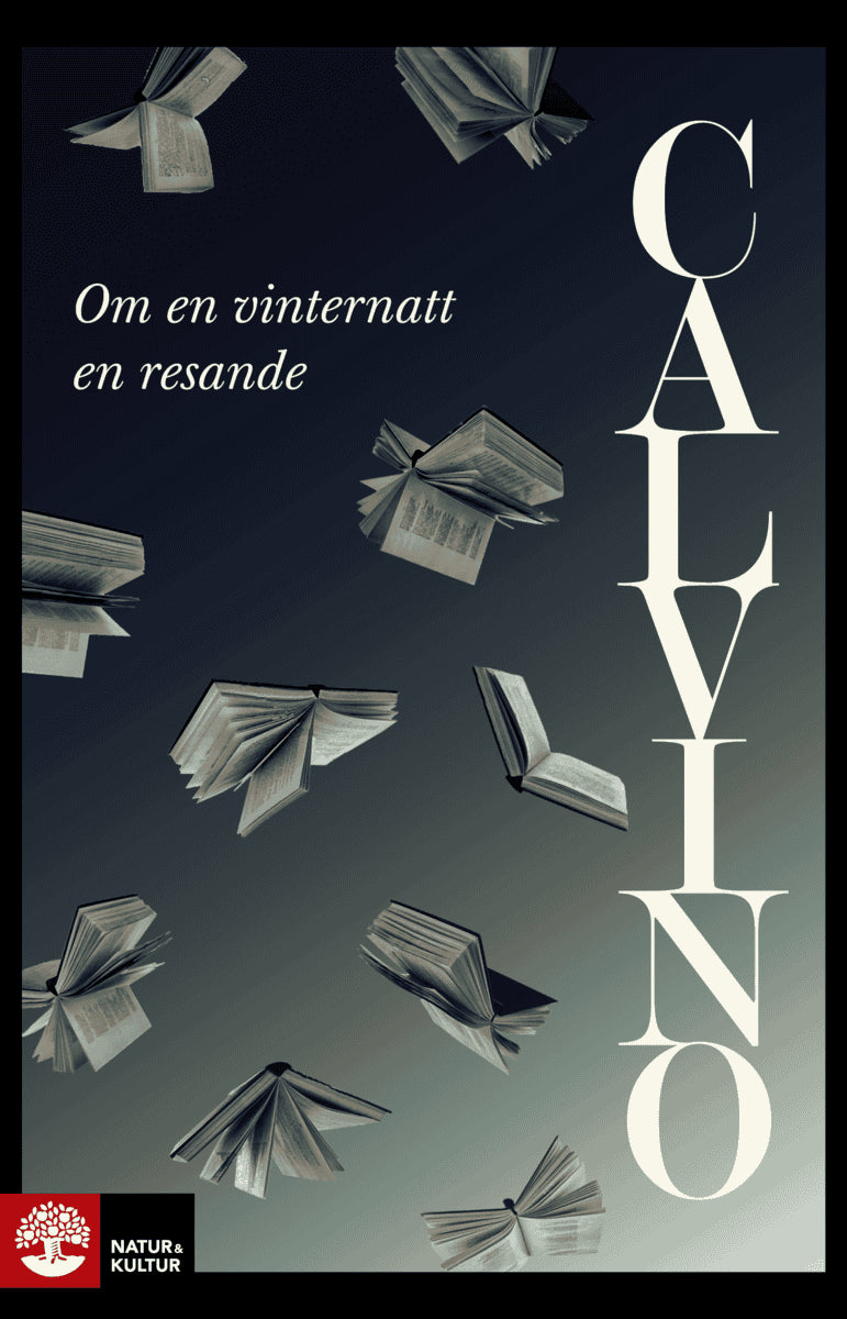 Calvino, Italo | Om en vinternatt en resande