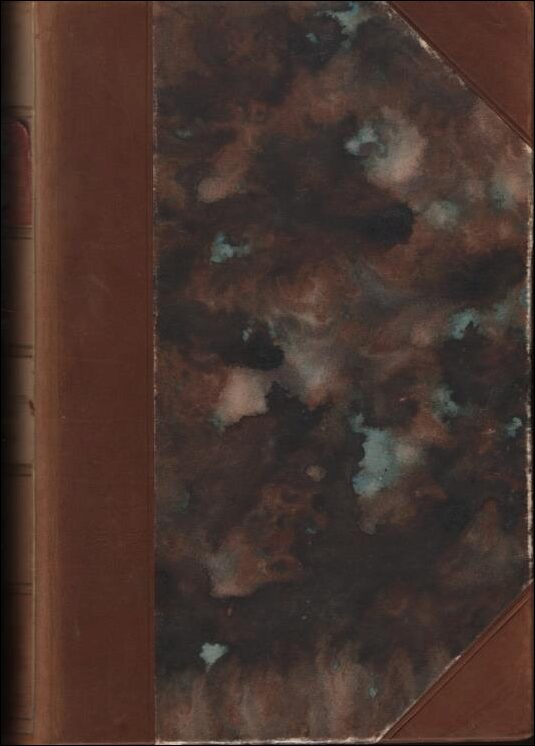 Engström, Albert | Mitt liv och leverne | En bok