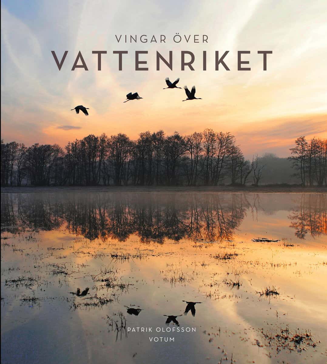 Olofsson, Patrik | Vingar över Vattenriket