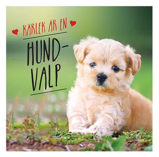 Ellis, Charlie | Kärlek är en hundvalp