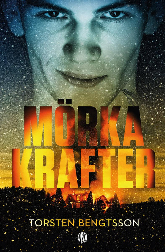 Bengtsson, Torsten | Mörka krafter