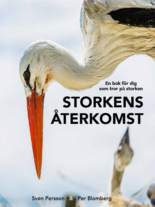 Blomberg, Per | Storkens återkomst : En bok för dig som tror på storken