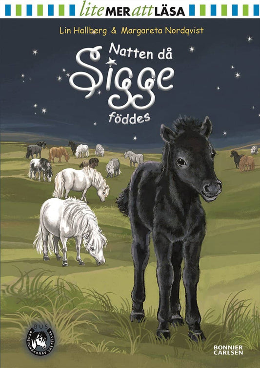 Hallberg, Lin | Natten då Sigge föddes