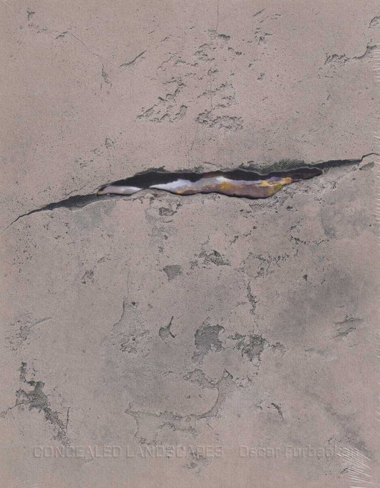 Furbacken, Oscar | Ravini, Sinziana | Olsson, Carl-Johan | Haga, Niklas | Paunu, Hanna | Concealed Landscapes