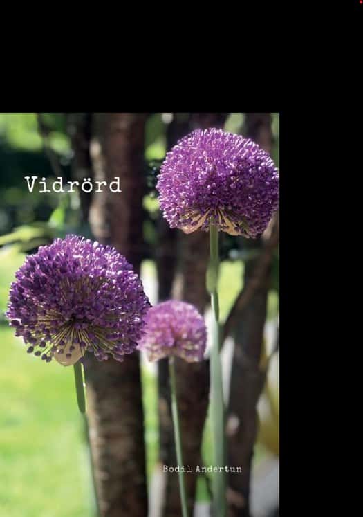 Andertun, Bodil | Vidrörd