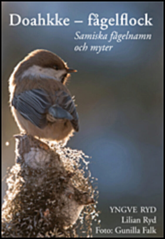 Ryd, Yngve | Doahkke : Fågelflock