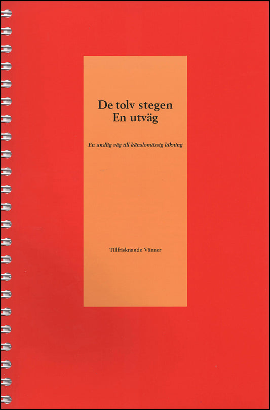 De tolv stegen : En utväg - en andlig väg till känslomässig läkning