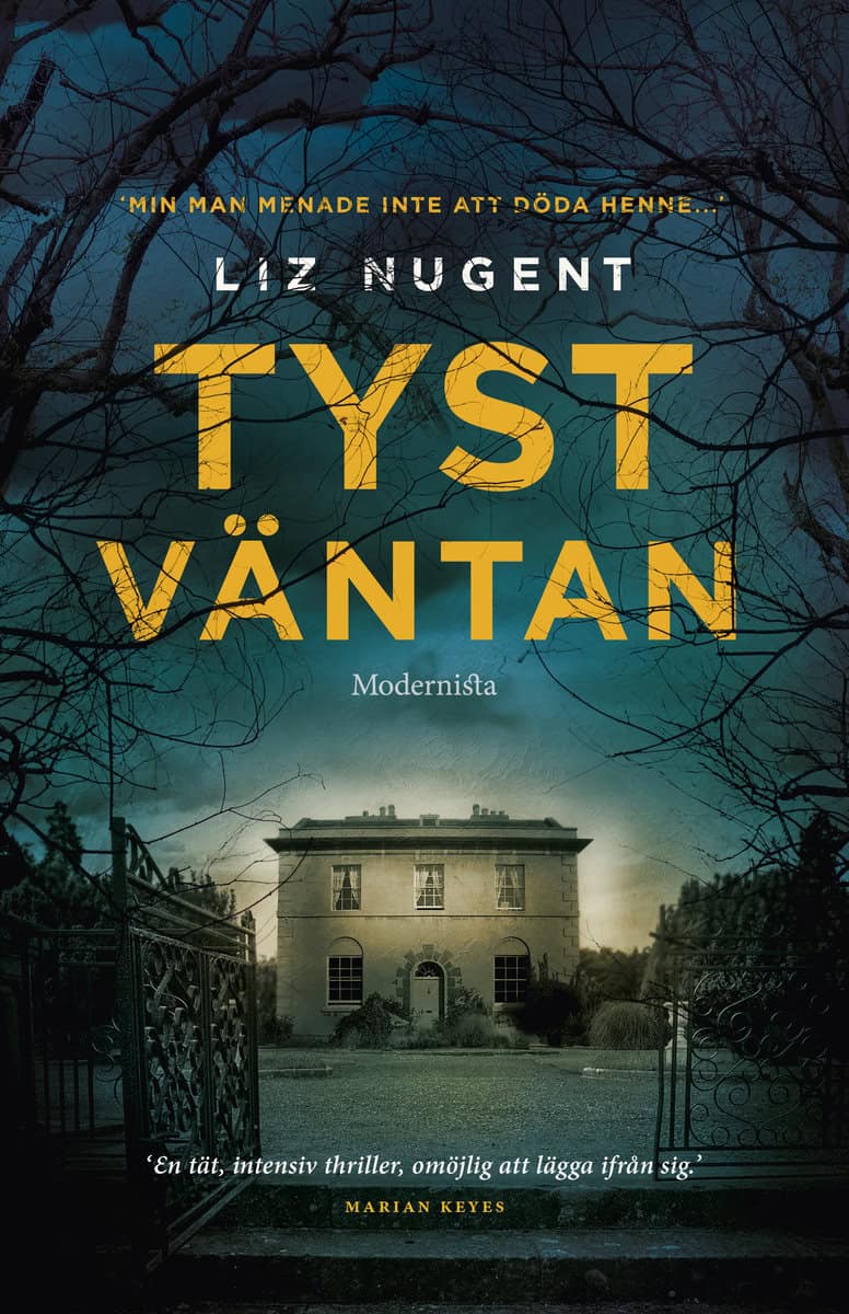 Nugent, Liz | Tyst väntan