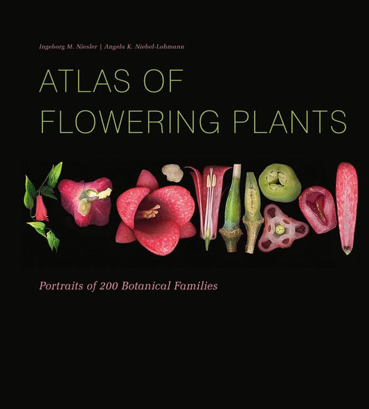 Niesler , Ingeborg M | Niebel-L, Angela K | Atlas Of Flowering Plants