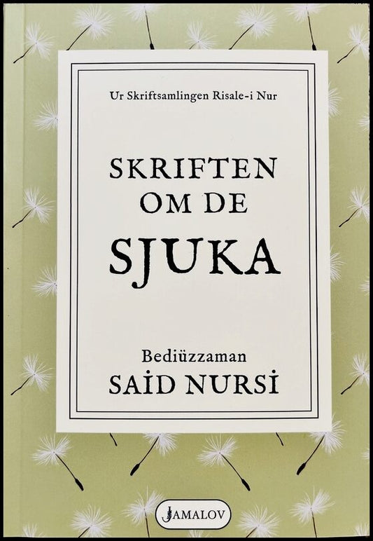 Nursi, Said | Skriftsamlingen Risale-i Nur