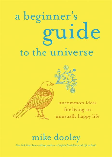 Dooley, Mike | A Beginner's Guide to the Universe