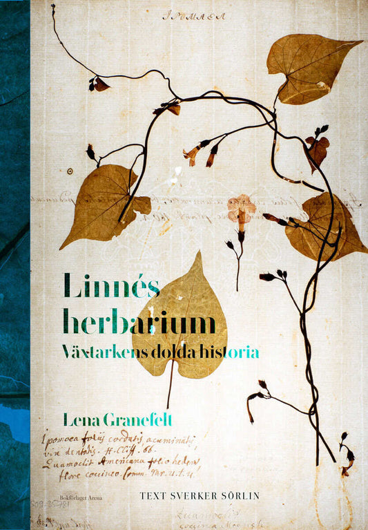 Sörlin, Sverker | Granefelt, Lena | Linnés herbarium : Växtarkens dolda historia