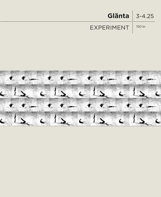 Aalto, Susanne | Bigert, Mats | et al | Glänta 3-4 (2025) Experiment