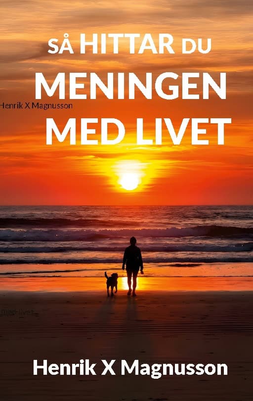 Magnusson, Henrik X | Så hittar du meningen med livet : Din guide i tillvaron