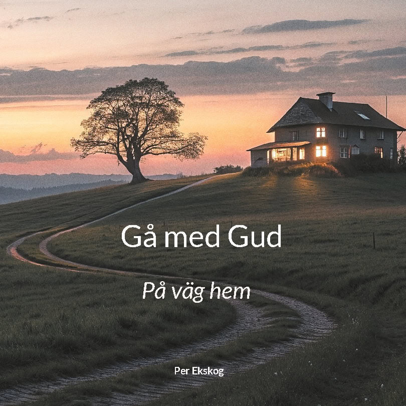 Ekskog, Per | Gå med Gud : På väg hem