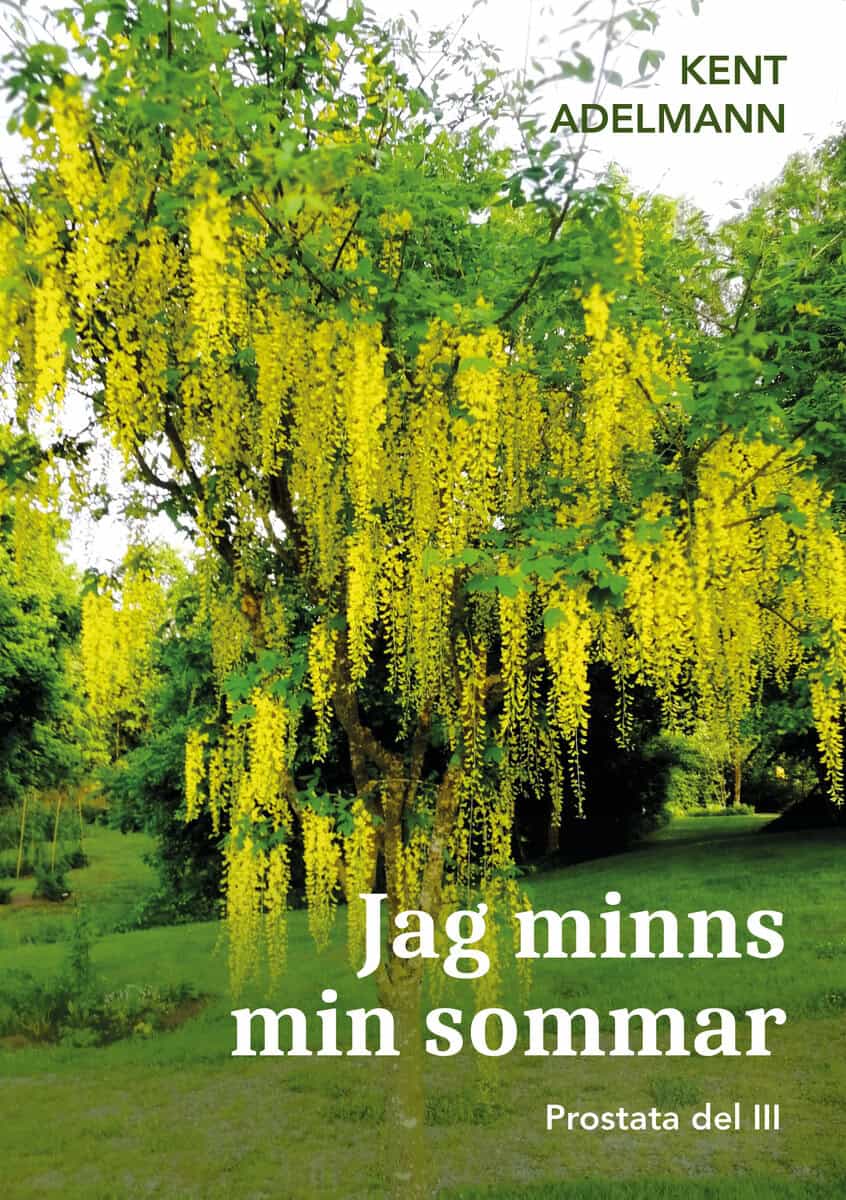 Adelmann, Kent | Jag minns min sommar : Prostata del III