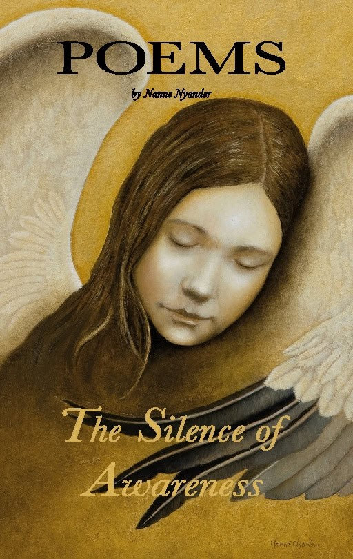 Nyander, Nanne | The silence of awareness