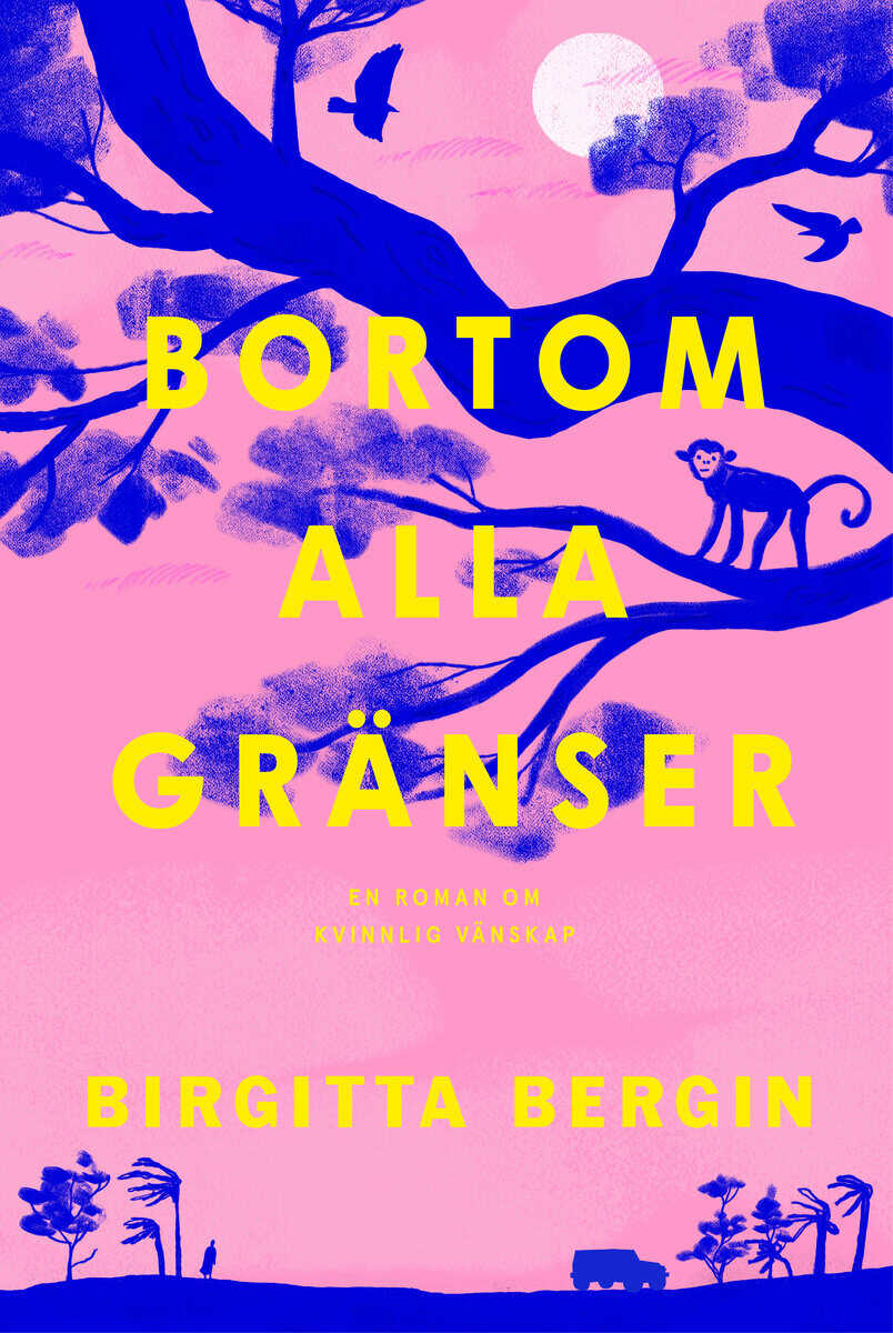 Bergin, Birgitta | Bortom alla gränser