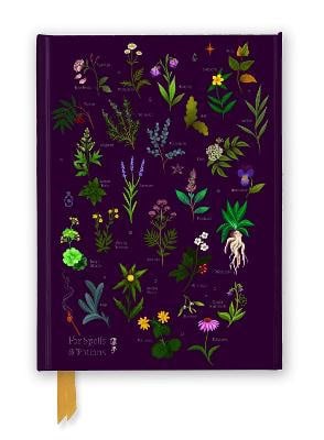 Anna Stead : For Spells & Potions (Foiled Journal)