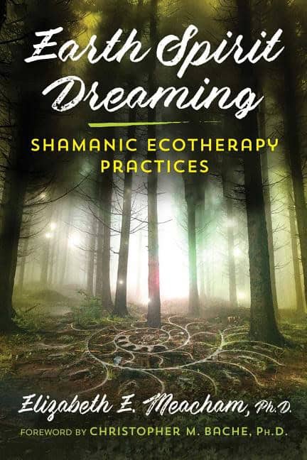 Elizabeth Meacham | Earth Spirit Dreaming : Value, object or array expected.* Line 1, Column 2  Extra non-whitespace aft...