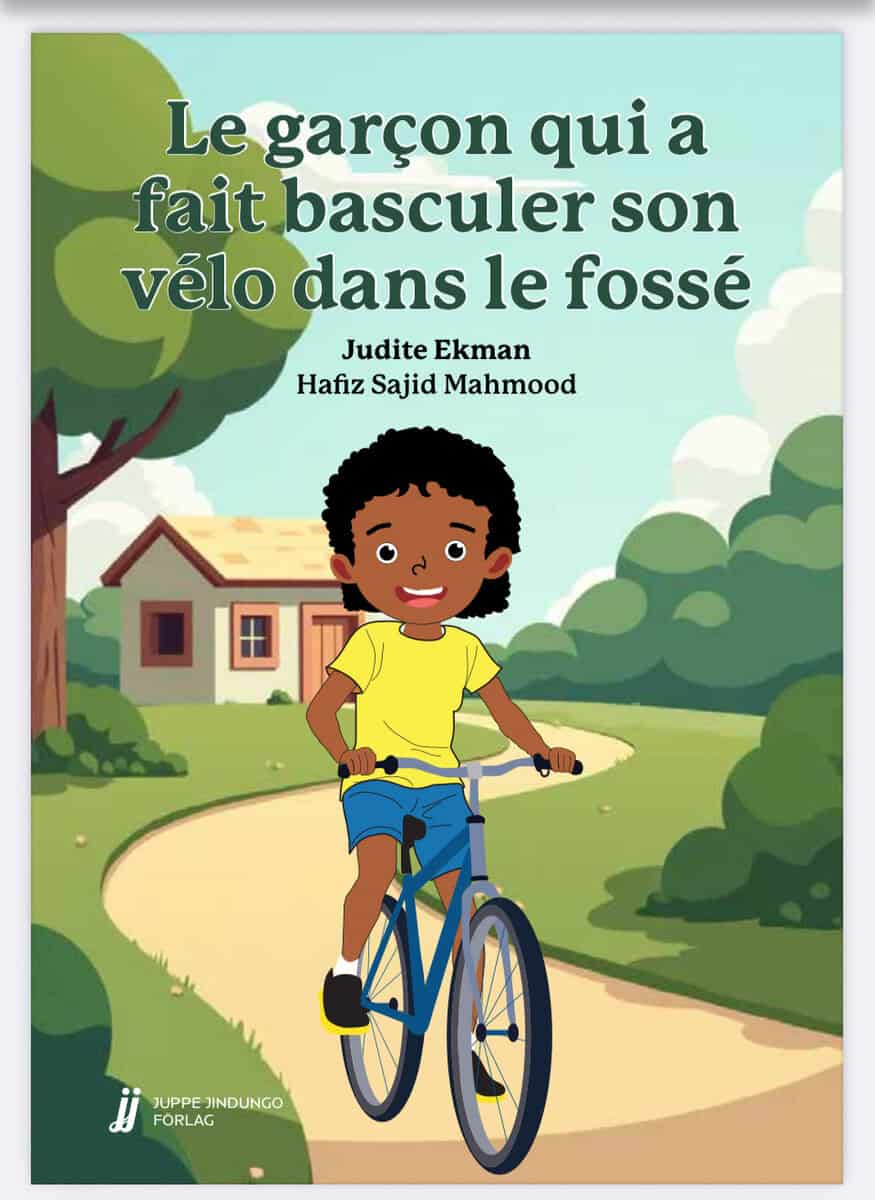 Ekman, Judite | Le garçon qui a fait basculer son vélo dans le fossé