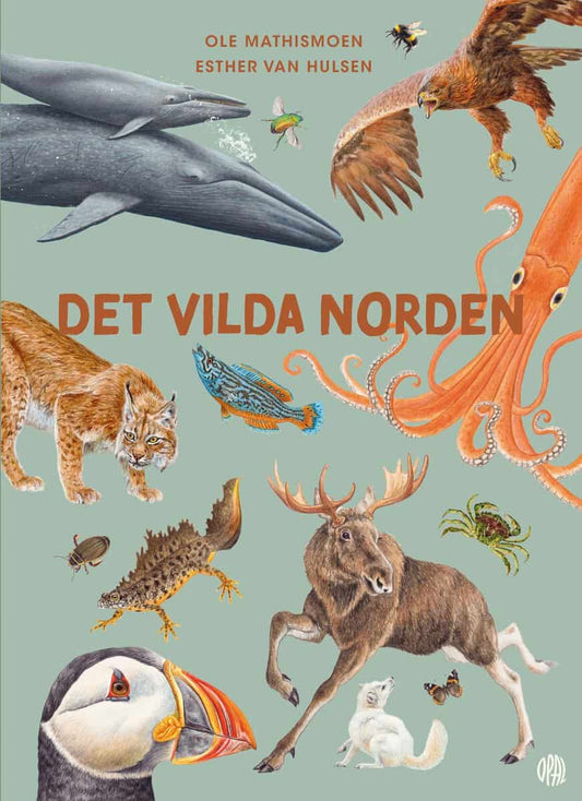Mathismoen, Ole | Det vilda Norden