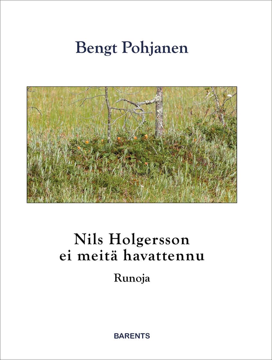 Pohjanen, Bengt | Nils Holgersson ei meitä havattennu