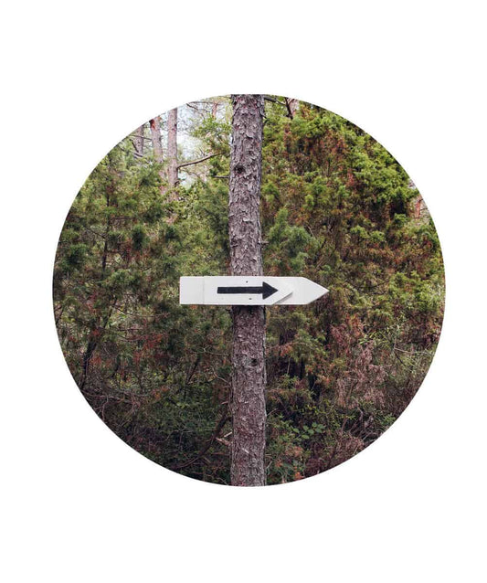 Skoog, Martin | Find