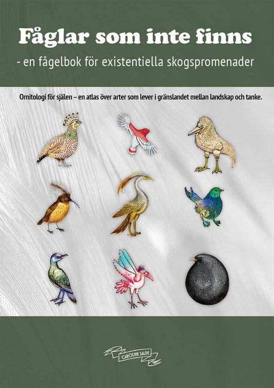 Salde, Caroline | Fåglar som inte finns : En fågelbok för existentiella skogspromenader