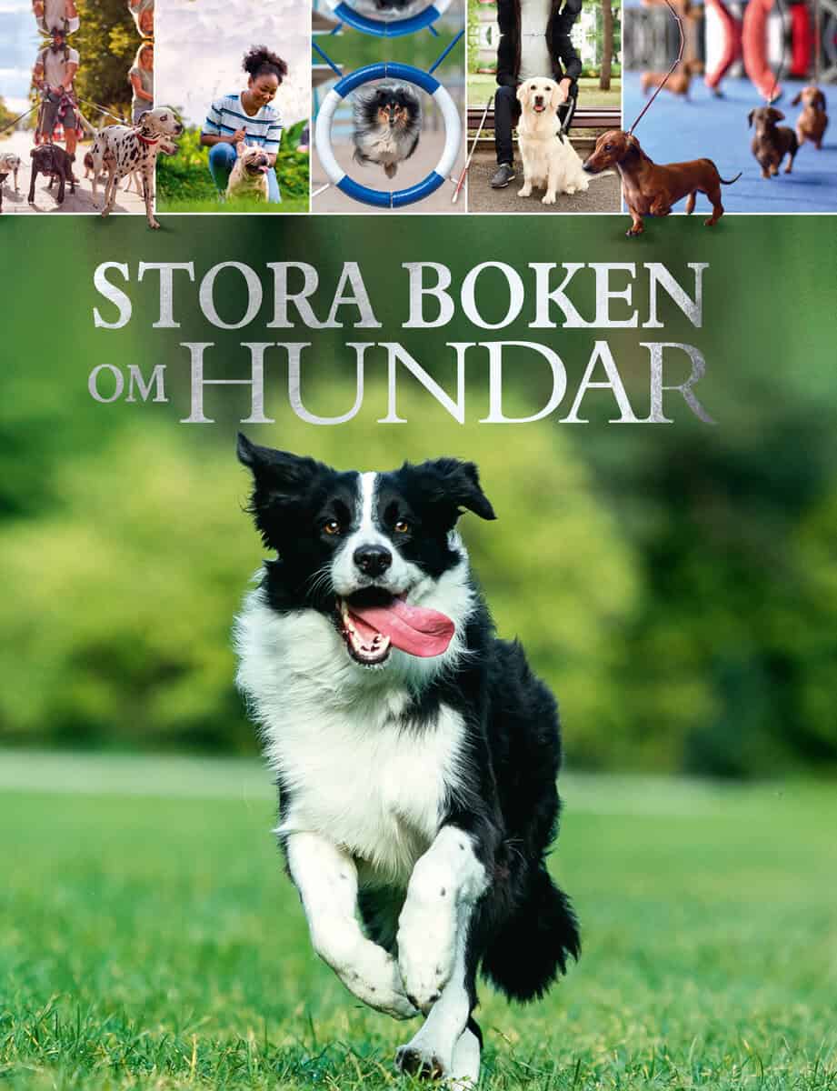 Martin, Claudia | Stora boken om hundar