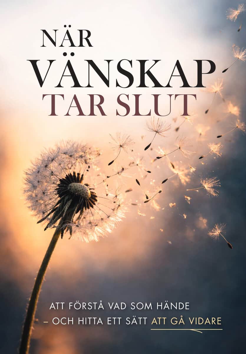 När vänskap tar slut : Att förstå vad som hände - och hitta ett sätt att gå vidare