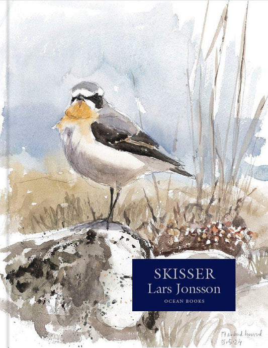 Jonsson, Lars | Skisser