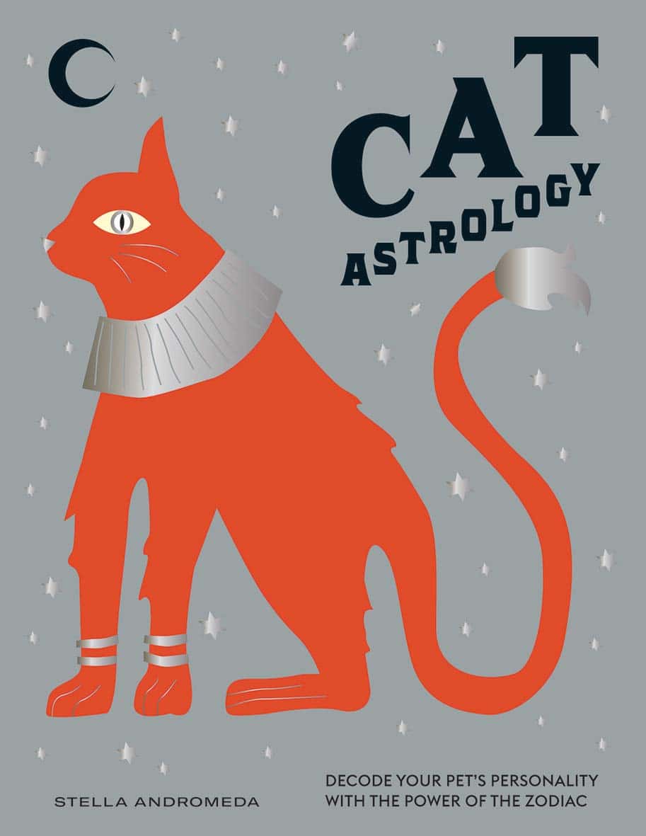 Stella Andromeda | Cat Astrology
