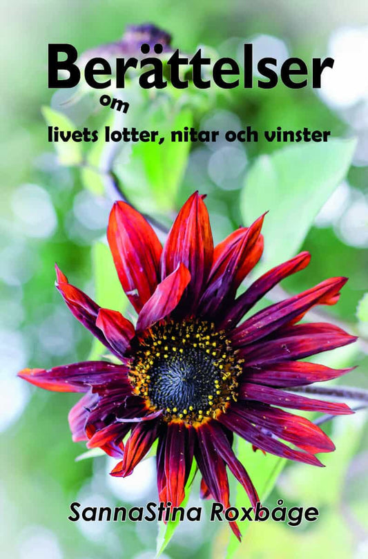 Berättelser om livets lotter, nitar och vinster