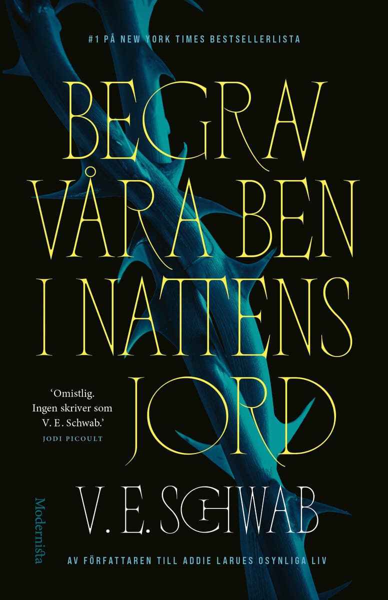 Schwab, V. E. | Begrav våra ben i nattens jord