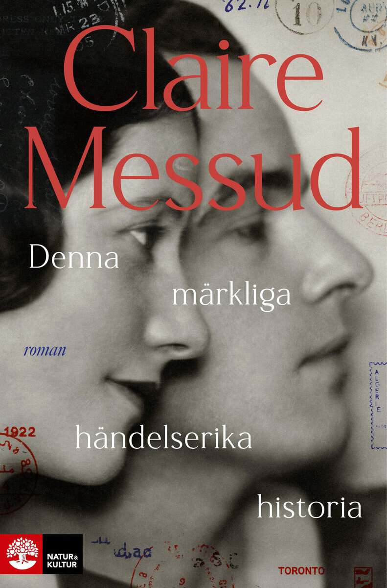 Messud, Claire | Denna märkliga händelserika historia