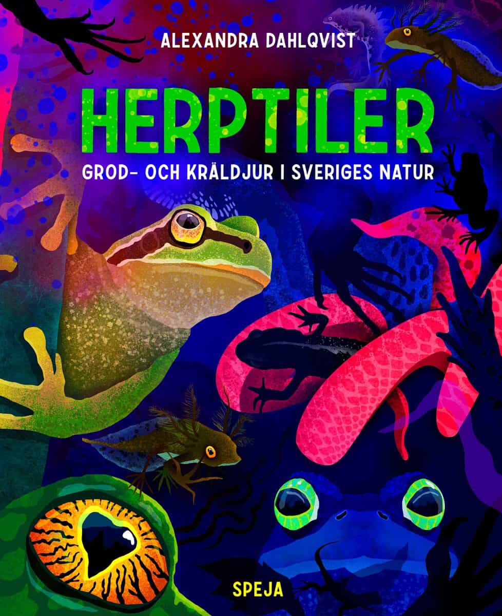 Dahlqvist, Alexandra | Herptiler : Grod- och kräldjur i Sveriges natur