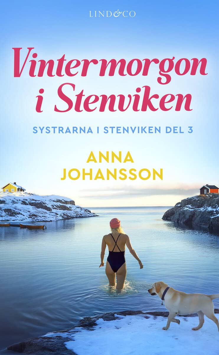 Johansson, Anna | Vintermorgon i Stenviken