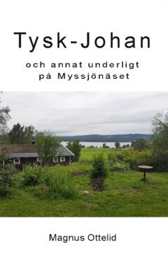 Ottelid, Magnus | Tysk-Johan : Och annat underligt på Myssjönäset