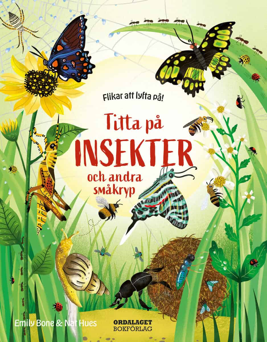 Bone, Emily | Nat Hues | Titta på insekter och andra småkryp