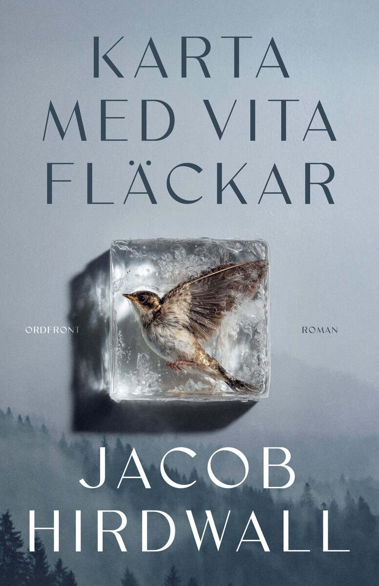 Hirdwall, Jacob | Karta med vita fläckar