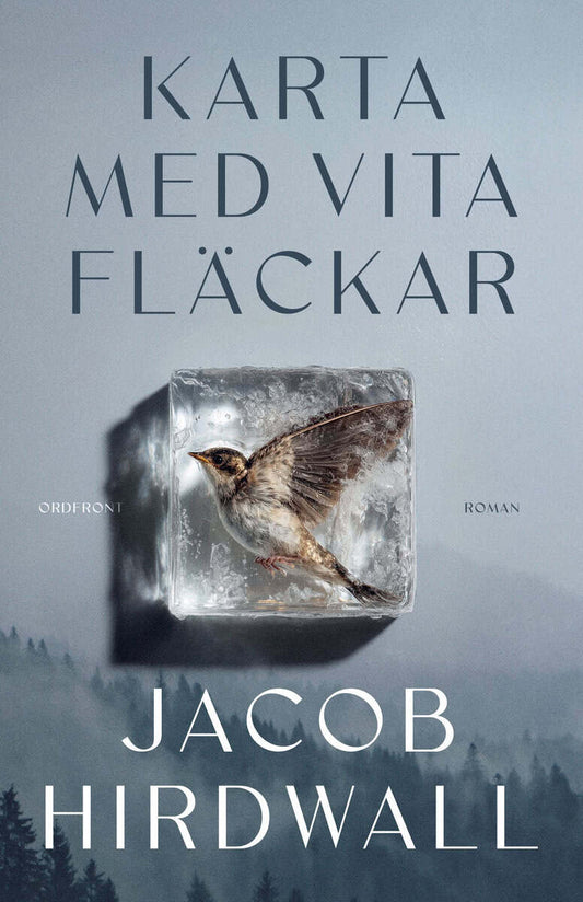 Hirdwall, Jacob | Karta med vita fläckar