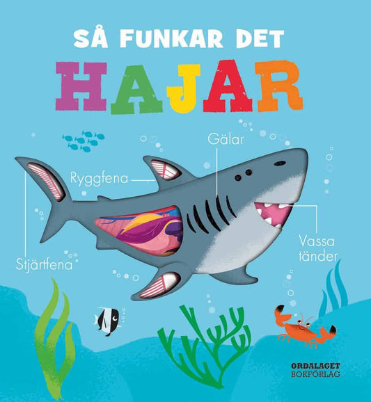 Littleboy, Molly | Så funkar det : Hajar