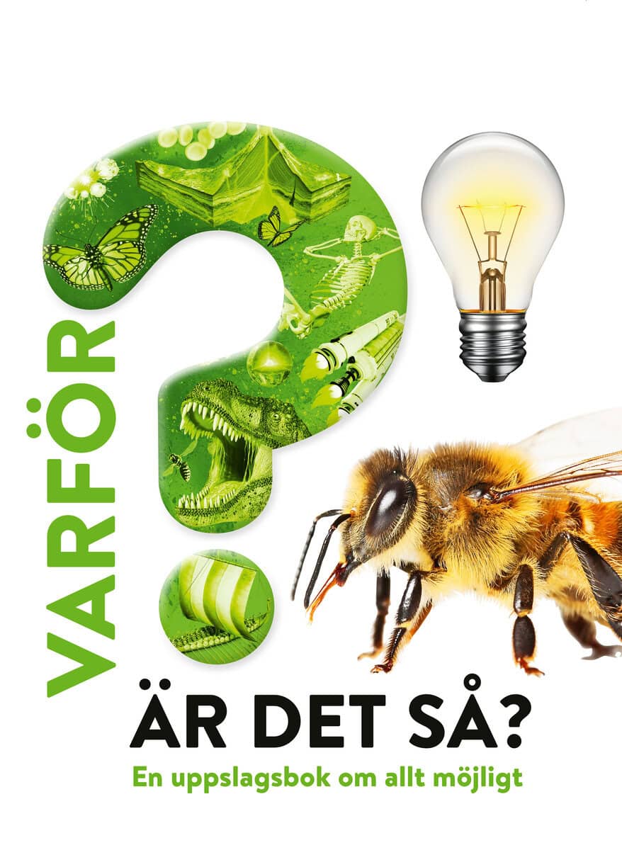 Varför är det så? : En uppslagsbok om allt möjligt