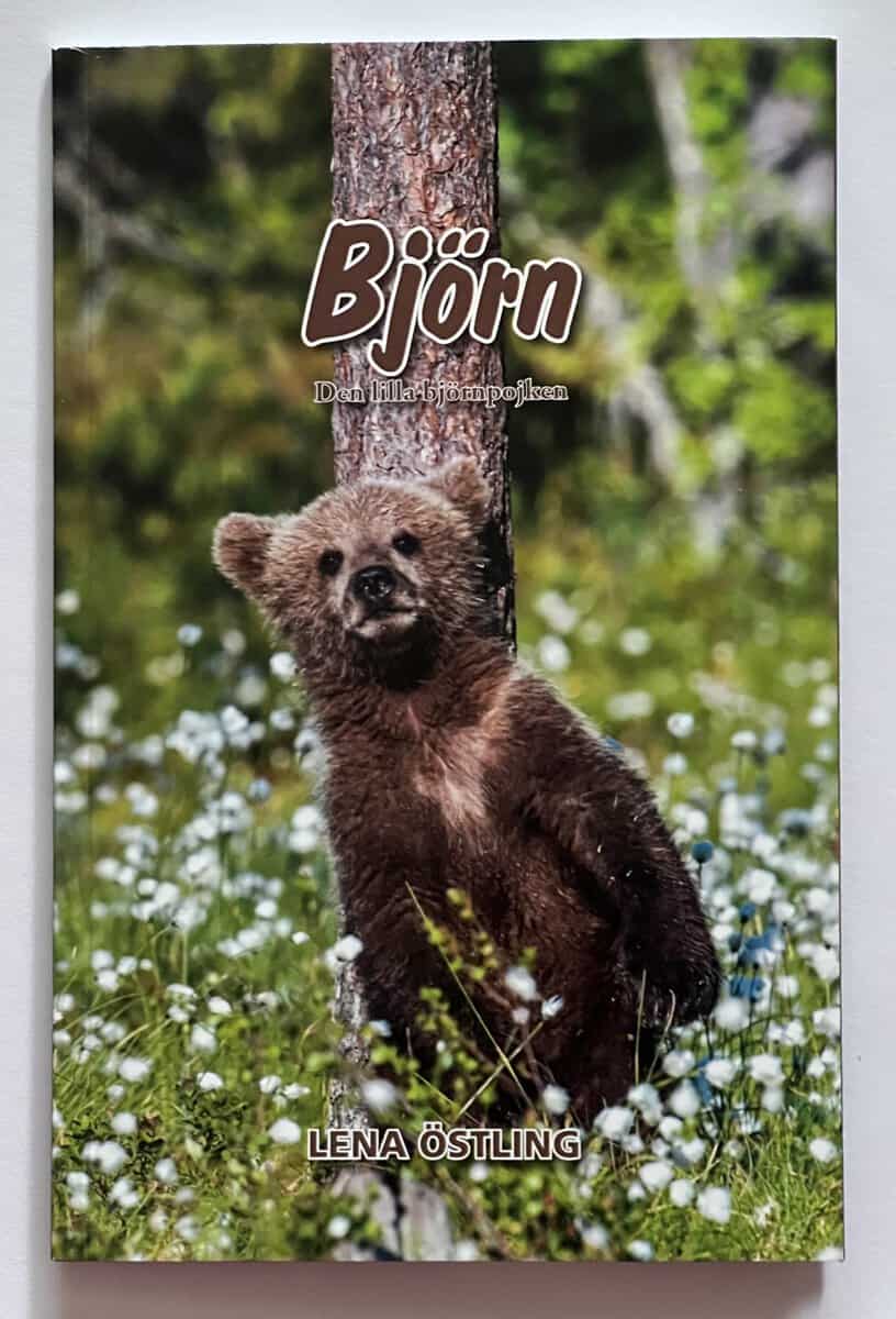 Östling, Lena | Björn, den lilla björnpojken