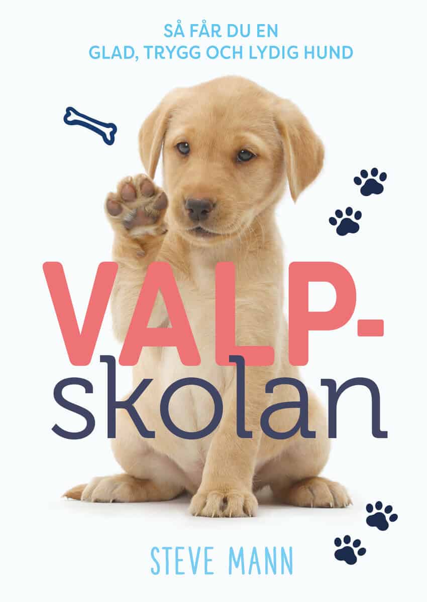 Mann, Steve | Valpskolan : Så får du en glad, trygg och lydig hund