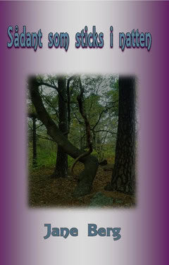 Berg, Jane | Sådant som sticks i natten