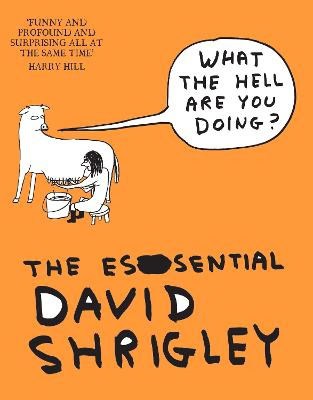 Shrigley, David | What The Hell Are You Doing? : The Essential David Shrigley