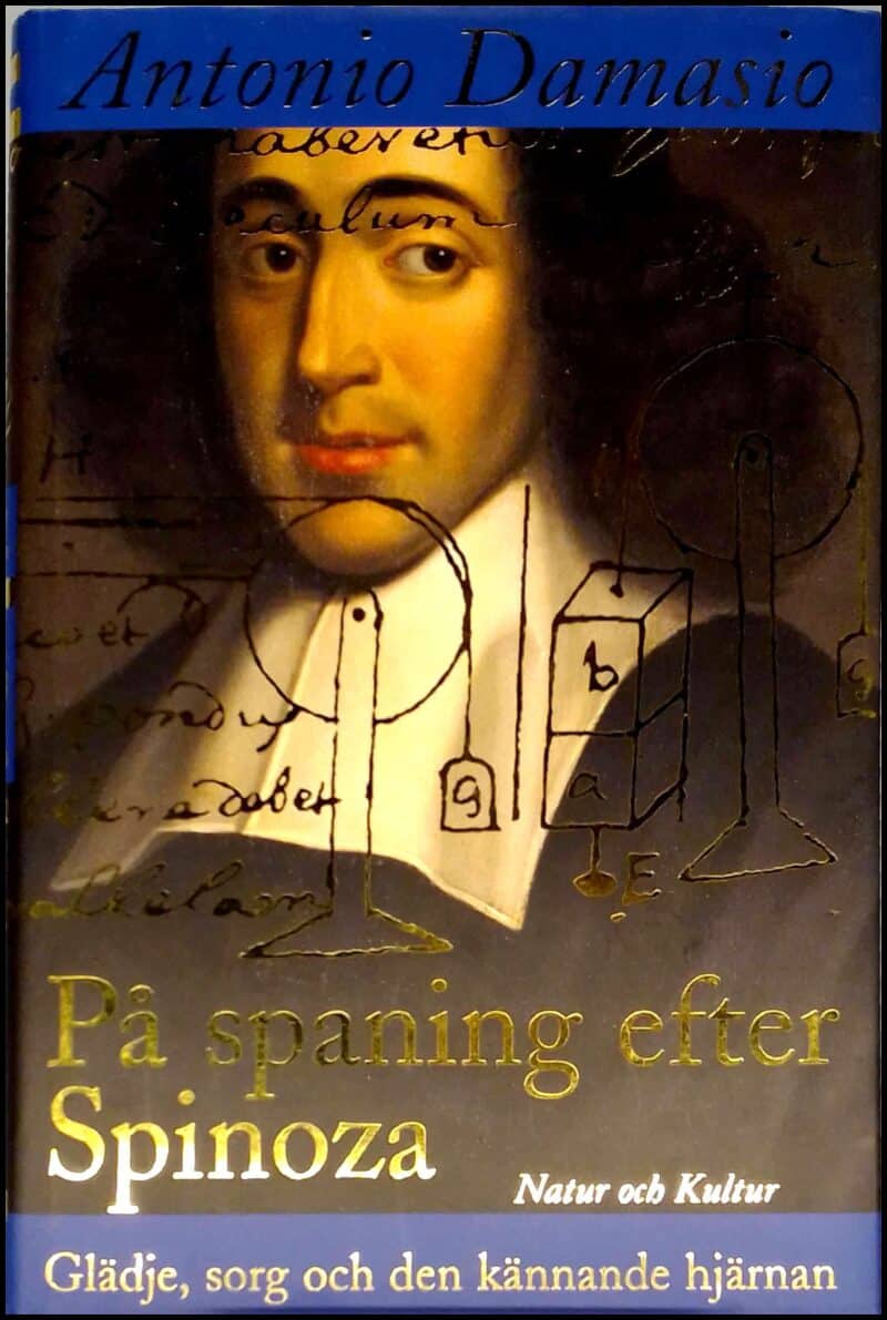 Damasio, Antonio R. | På spaning efter Spinoza : Glädje, sorg och den kännande hjärnan